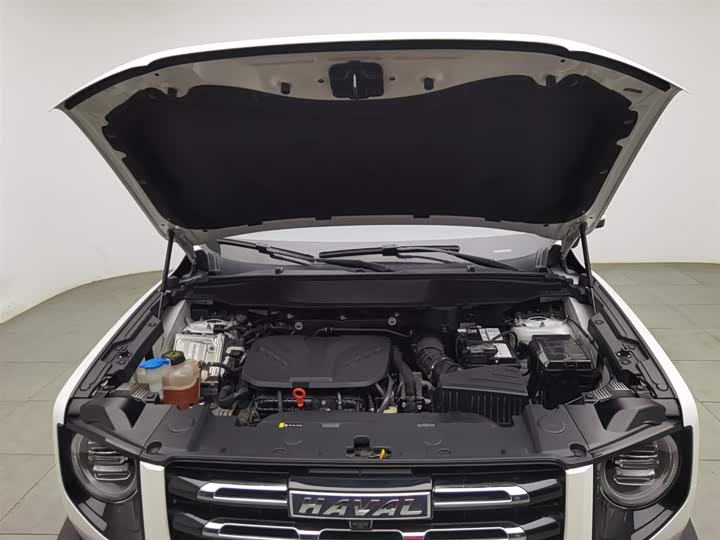 Фото 6 - Haval Dargo