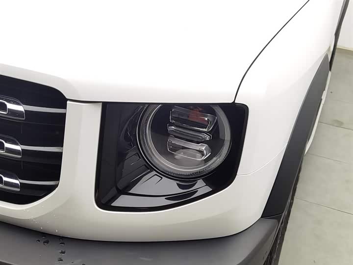 Фото 7 - Haval Dargo