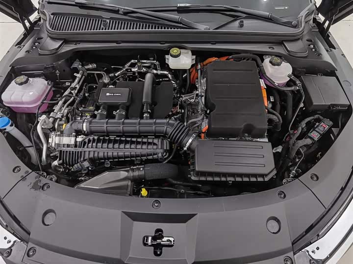 Фото 6 - BYD Qin L