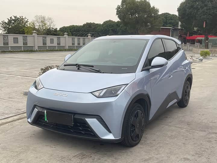 Фото 1 - BYD Seagull