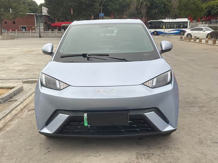 Фото 2 - BYD Seagull