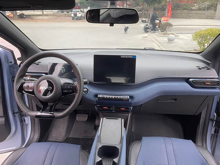 Фото 4 - BYD Seagull