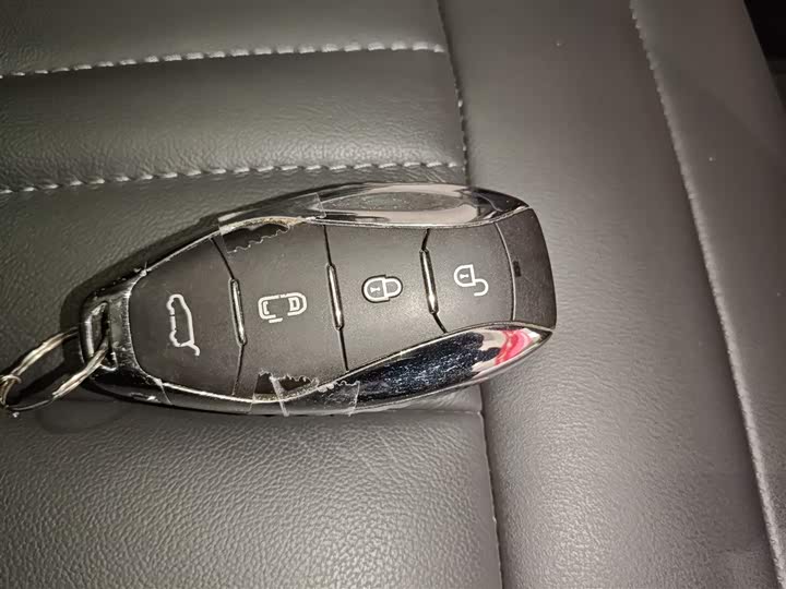 Фото 9 - Hongqi HQ9 Hybrid