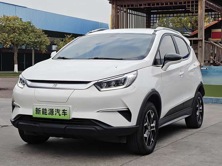 Фото 1 - BYD Yuan Pro