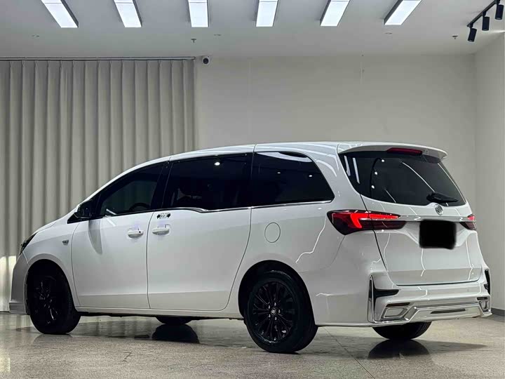 Фото 4 - Buick GL8 ES