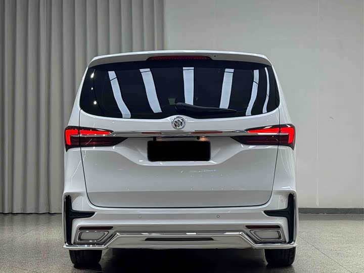 Фото 5 - Buick GL8 ES