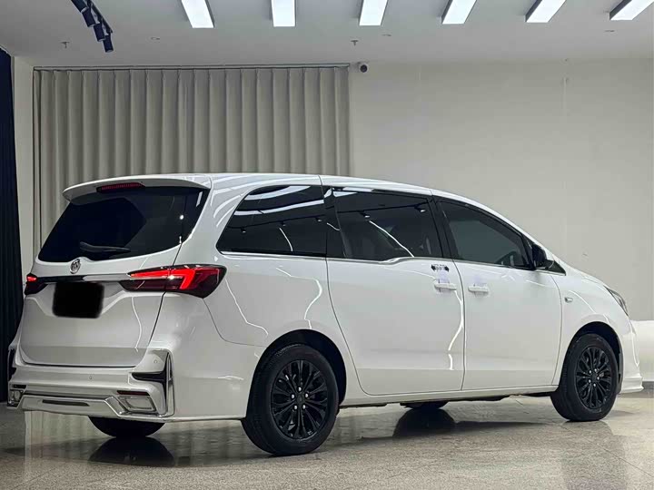 Фото 6 - Buick GL8 ES