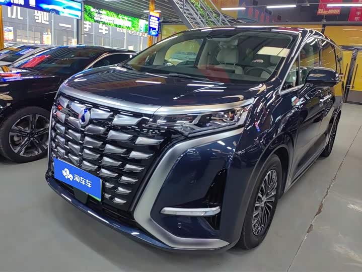 Фото 1 - Denza D9