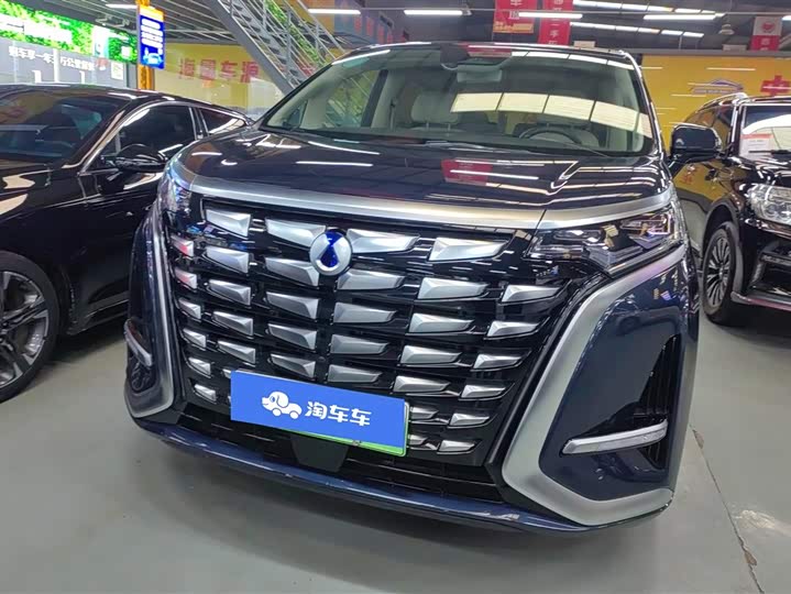 Фото 2 - Denza D9