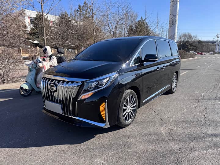 Фото 1 - GAC Trumpchi M8