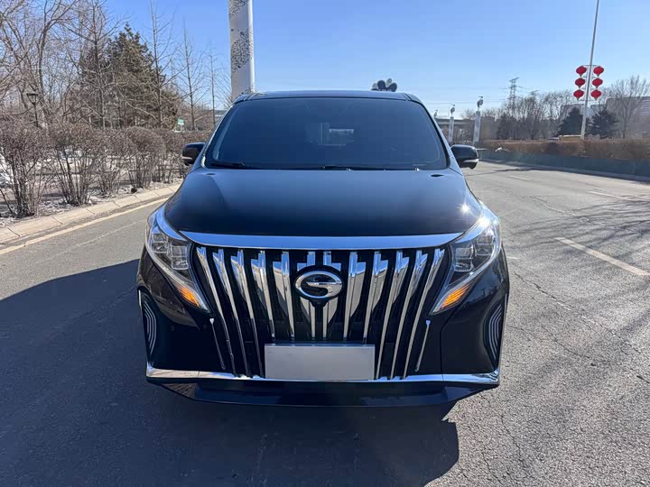 Фото 2 - GAC Trumpchi M8