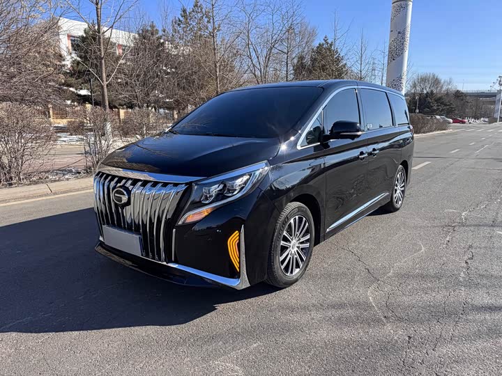 Фото 3 - GAC Trumpchi M8