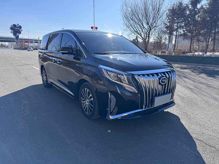 Фото 4 - GAC Trumpchi M8