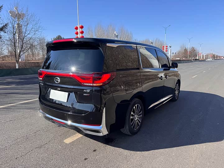 Фото 6 - GAC Trumpchi M8