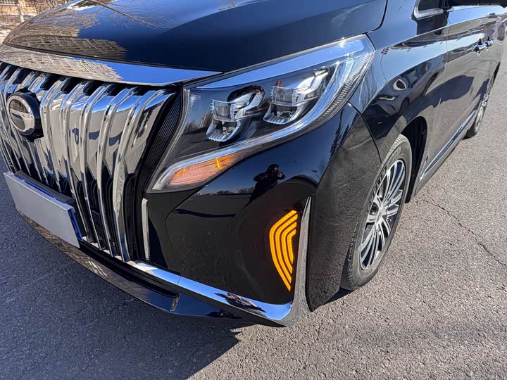 Фото 8 - GAC Trumpchi M8