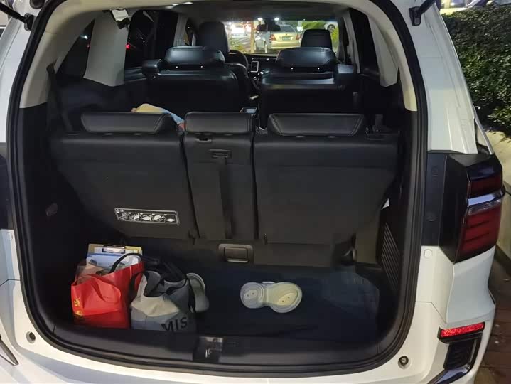 Фото 4 - Honda Elysion