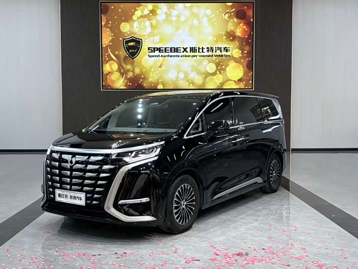 Фото 1 - Denza D9