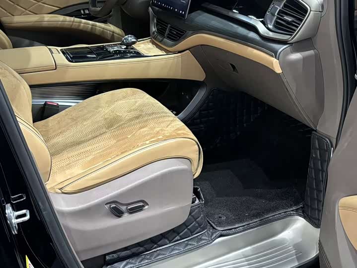 Фото 2 - Denza D9