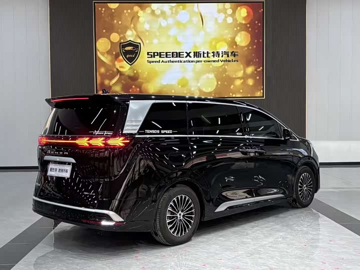 Фото 4 - Denza D9