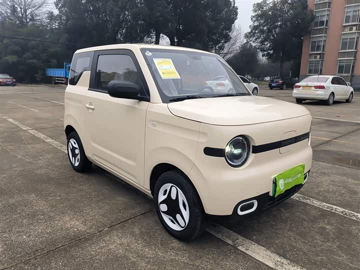 Фото 4 - Geely Galaxy Panda Mini