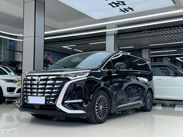 Фото 1 - Denza D9