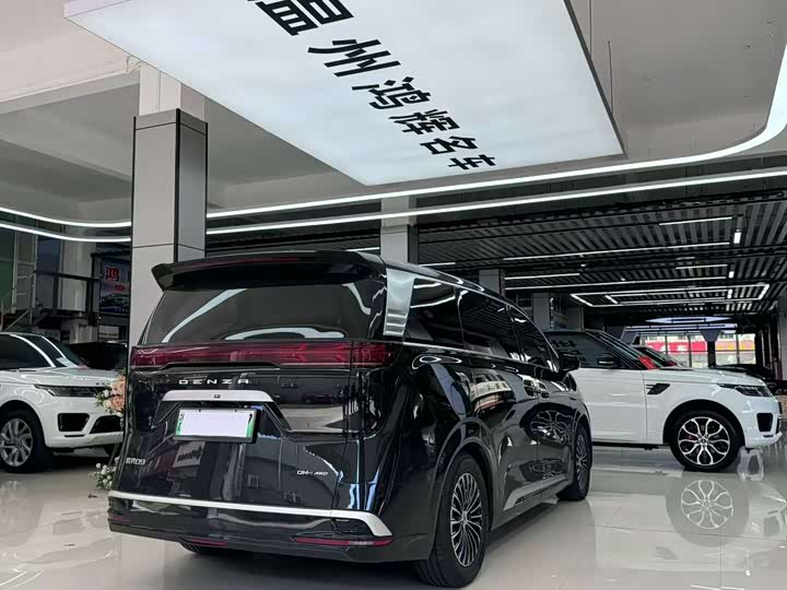 Фото 6 - Denza D9