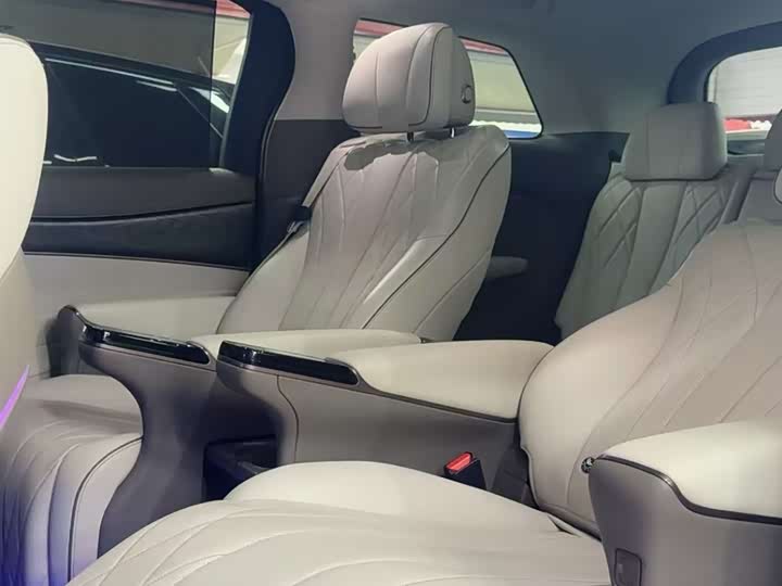 Фото 8 - Denza D9