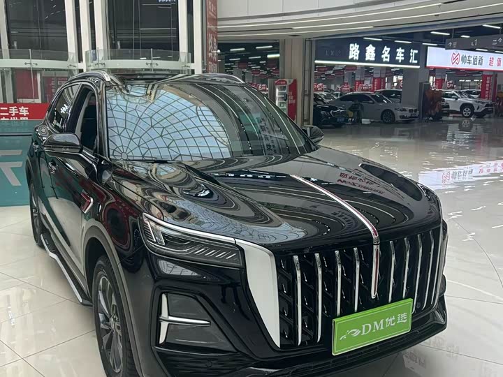 Фото 3 - Hongqi HS5