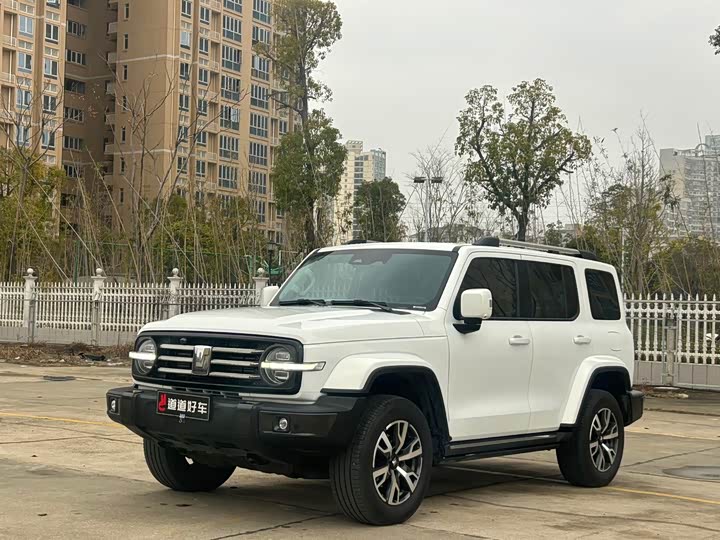 Фото 1 - Tank 300