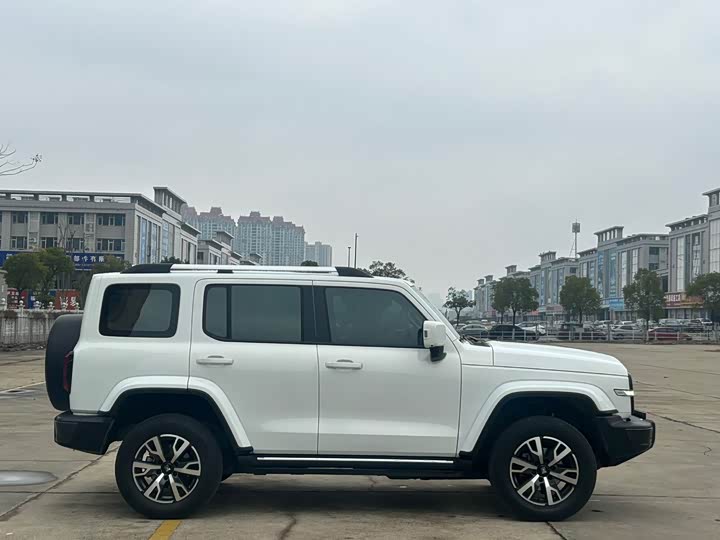 Фото 5 - Tank 300