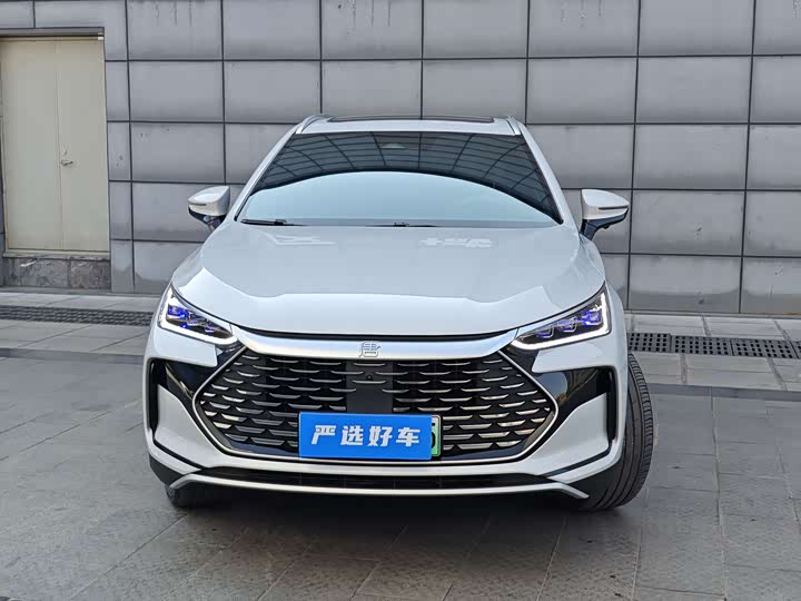 Фото 2 - BYD Tang Hybrid/EV