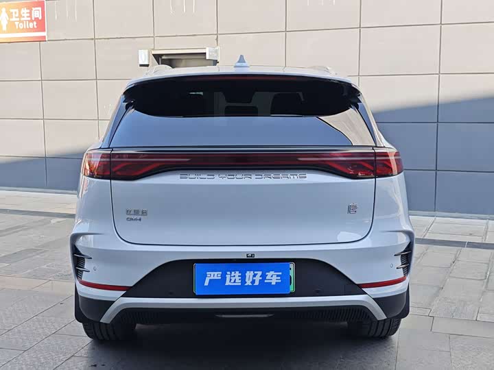 Фото 9 - BYD Tang Hybrid/EV