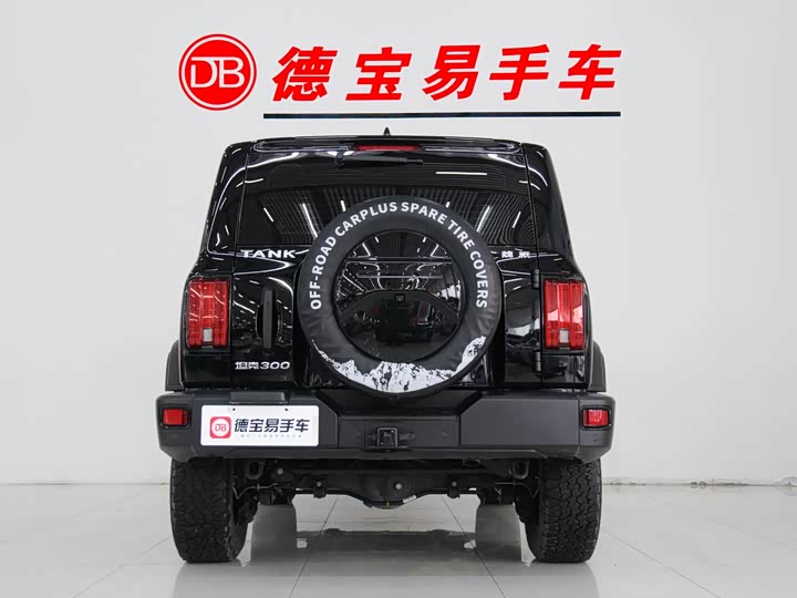 Фото 5 - Tank 300