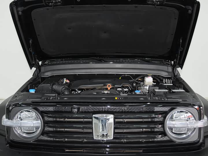 Фото 6 - Tank 300