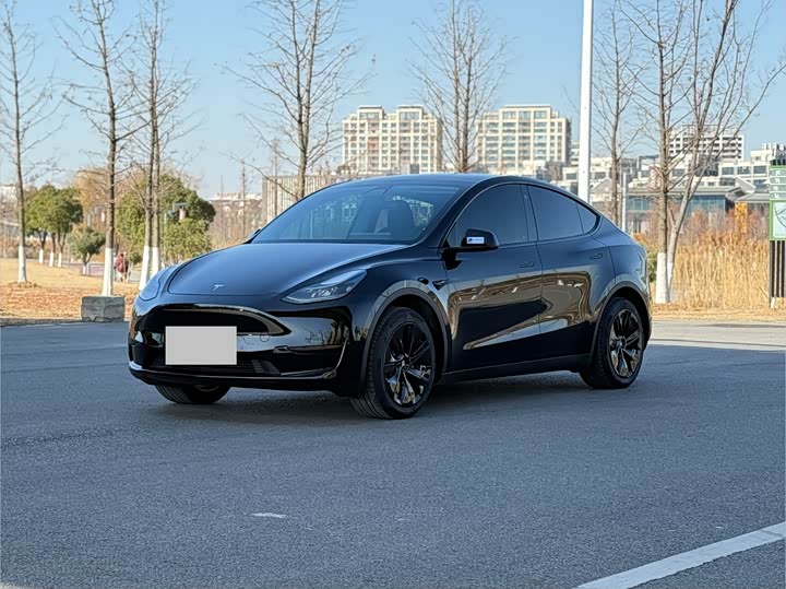 Фото 1 - Tesla Model Y