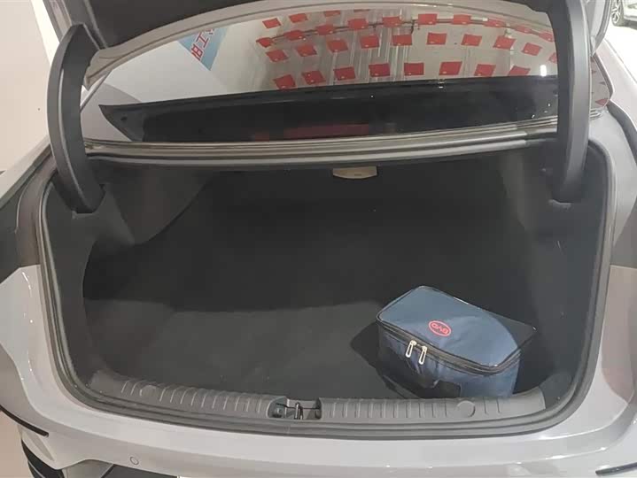 Фото 4 - BYD Han