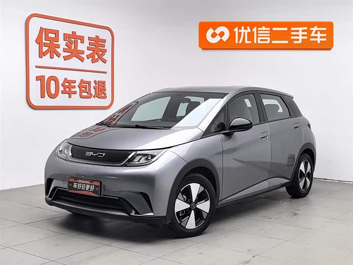 Фото 1 - BYD Dolphin