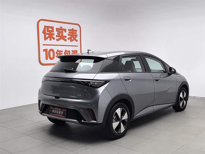 Фото 2 - BYD Dolphin