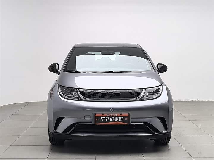 Фото 3 - BYD Dolphin