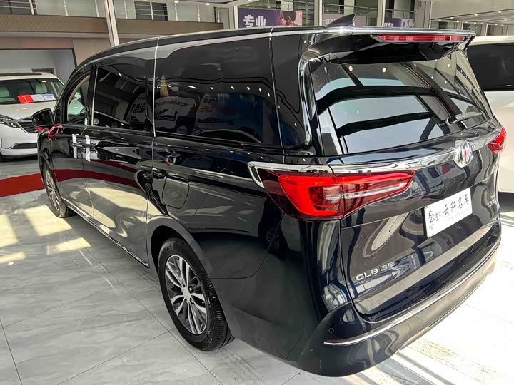 Фото 4 - Buick GL8 ES