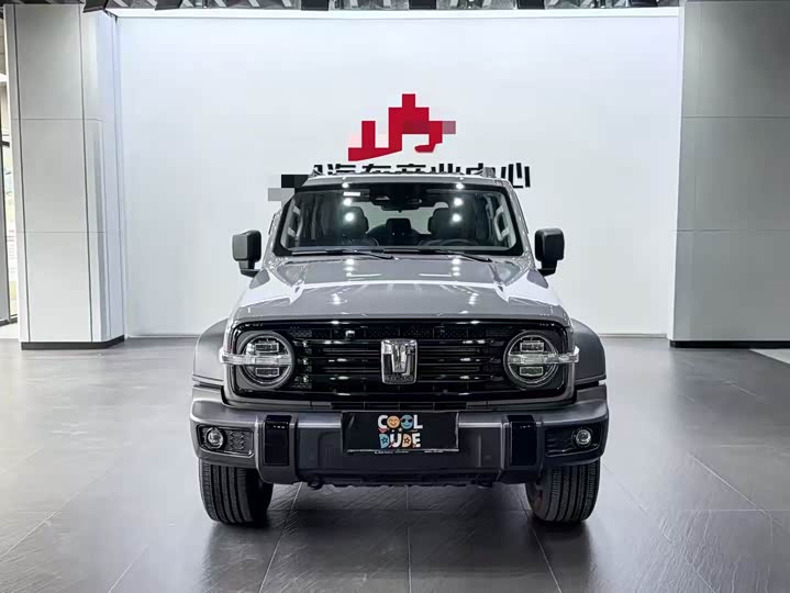 Фото 3 - Tank 300