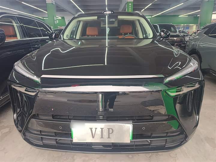 Фото 3 - Wey Lanshan