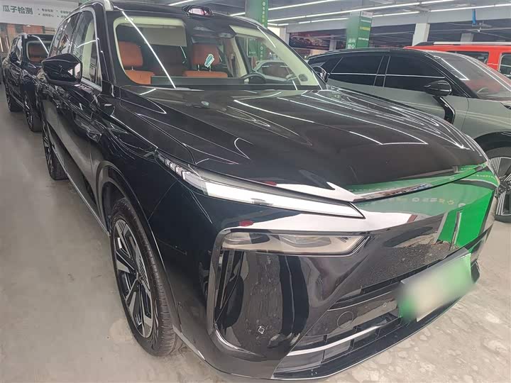 Фото 4 - Wey Lanshan