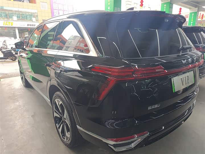 Фото 5 - Wey Lanshan