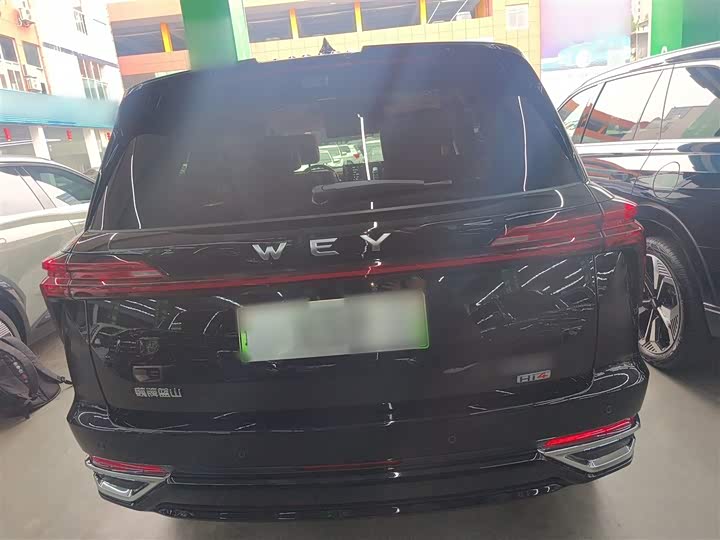 Фото 6 - Wey Lanshan