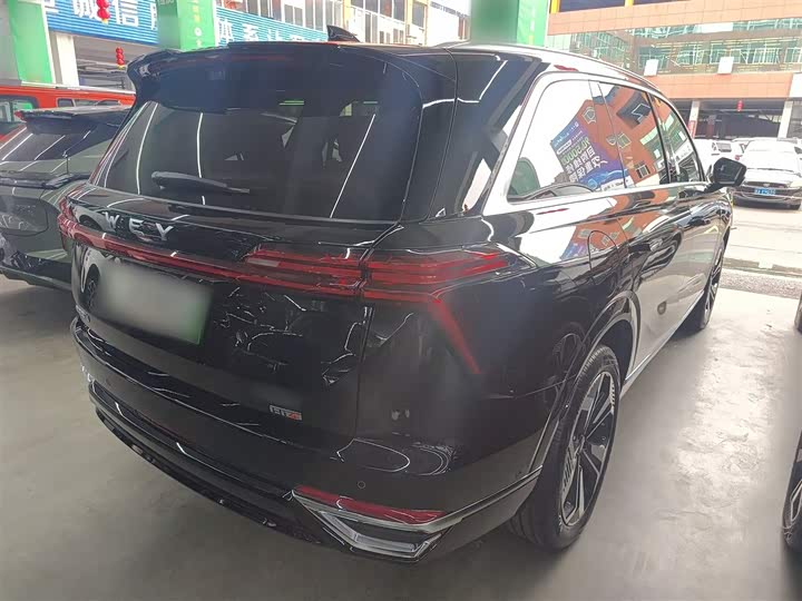 Фото 7 - Wey Lanshan