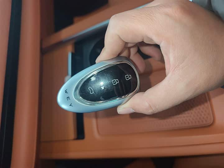 Фото 9 - Wey Lanshan