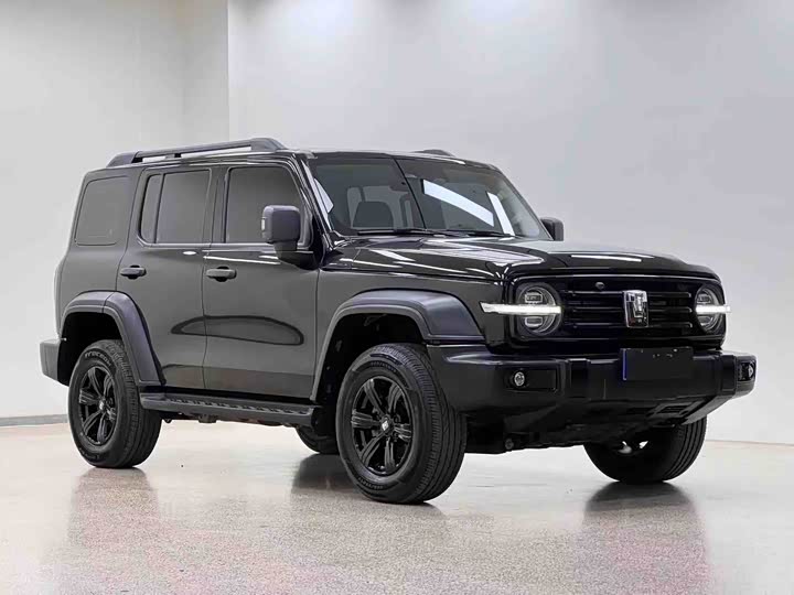 Фото 3 - Tank 300