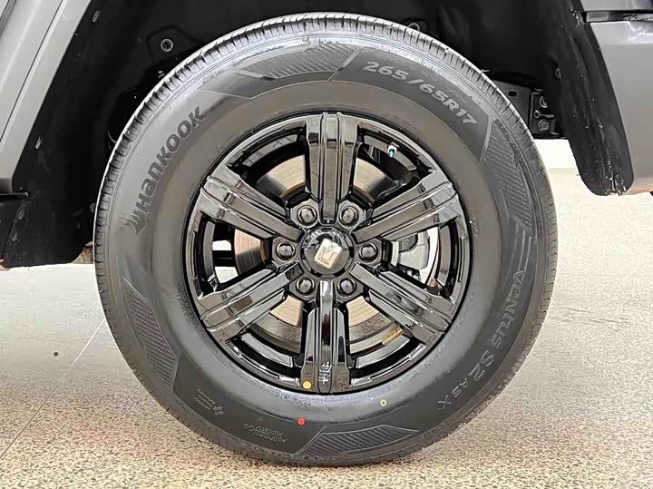 Фото 4 - Tank 300