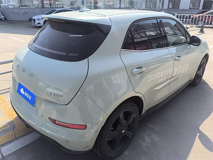 Фото 3 - Ora Good Cat GT (03 GT)